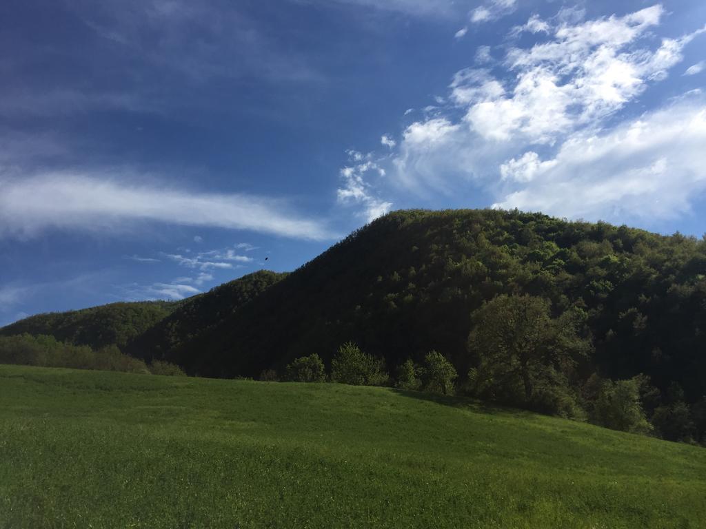 Agriturismo La Ferraia Pianello  Zewnętrze zdjęcie