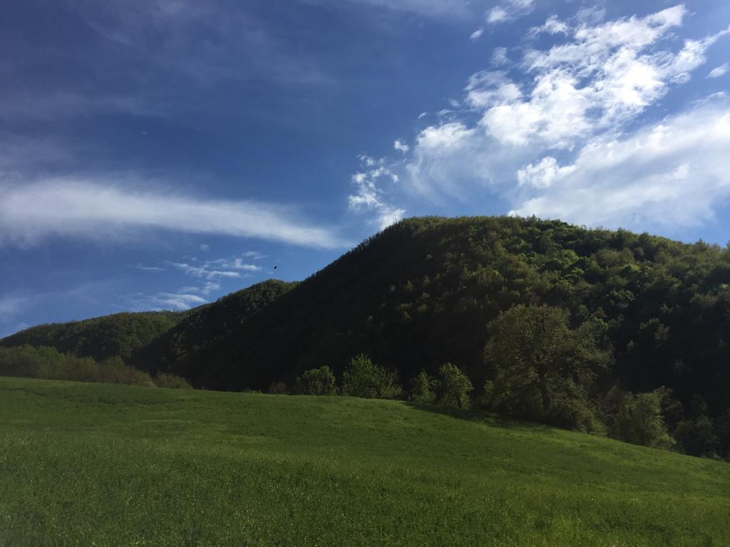 Willa Agriturismo La Ferraia Pianello  Zewnętrze zdjęcie