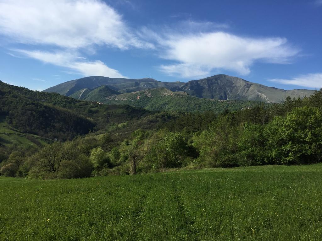 Agriturismo La Ferraia Pianello  Zewnętrze zdjęcie