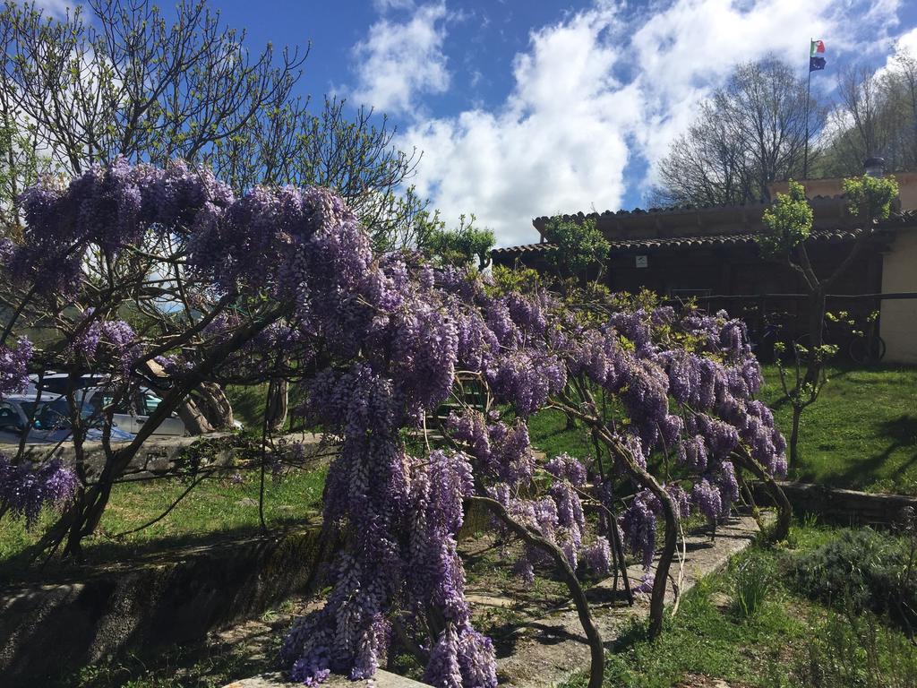 Willa Agriturismo La Ferraia Pianello  Zewnętrze zdjęcie